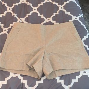 NWT LOFT BEIGE SHIMMER SHORTS